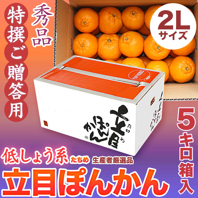 【送料無料】立目（たちめ）ぽんかん（低しょう系）特撰ご贈答用・5kg箱・2Lサイズ