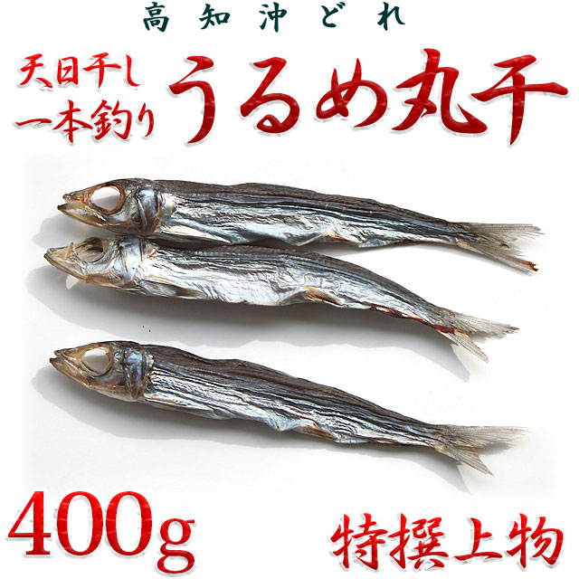 高知沖どれ・「天日干し・一本釣りうるめいわし丸干し」・特撰上物・400g【送料無料（関東～九州）】