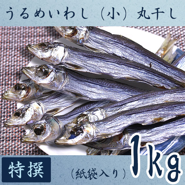 高知県産・「うるめいわし丸干し（小ウルメ）」・特撰上物・1kg【送料無料】