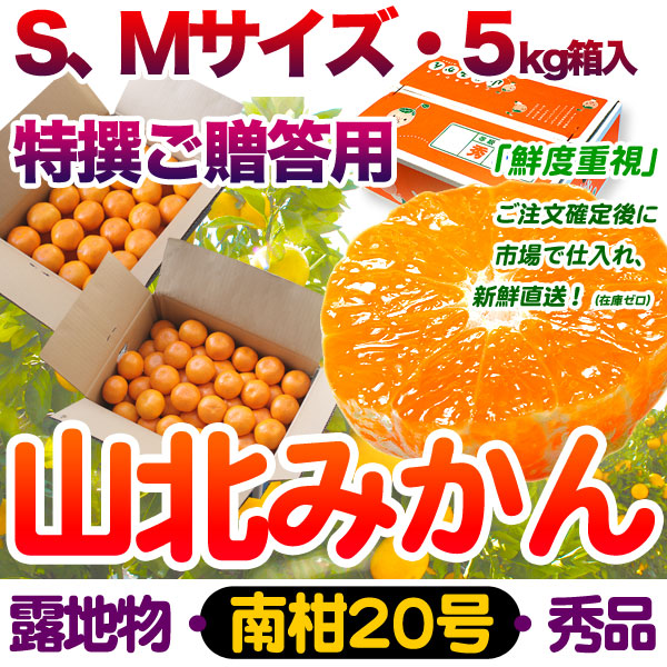 生産者厳選・山北みかん・露地もの・南柑20号・秀品（特撰ご贈答用）・5kg箱・S、Mサイズ