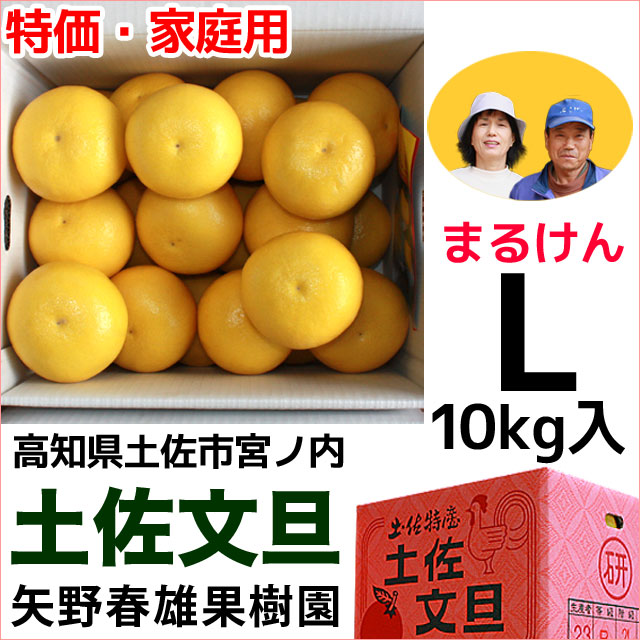 まるけん土佐文旦・ご家庭用・Lサイズ・大箱（～10kg）・矢野春雄果樹園【送料無料】