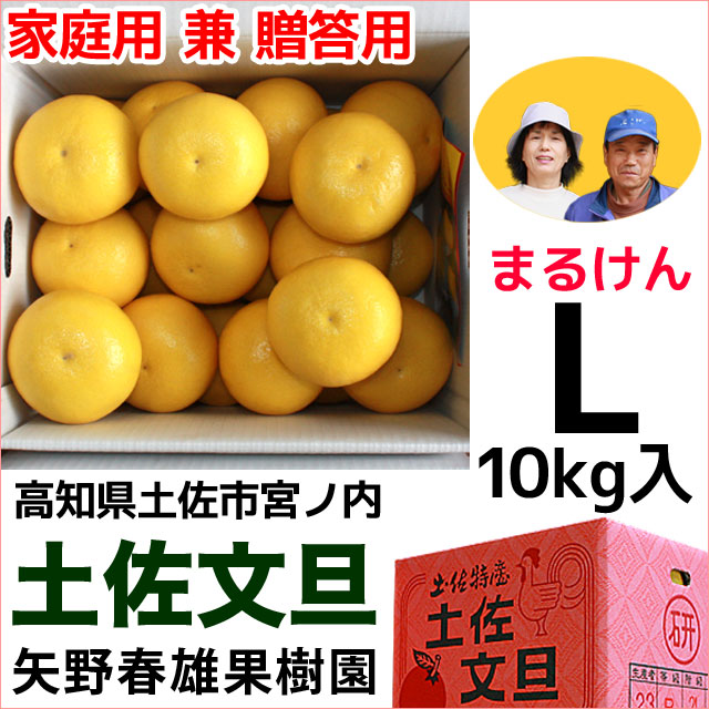 まるけん土佐文旦・家庭用兼ご贈答用・Lサイズ・大箱（～10kg）・矢野春雄果樹園【送料無料】