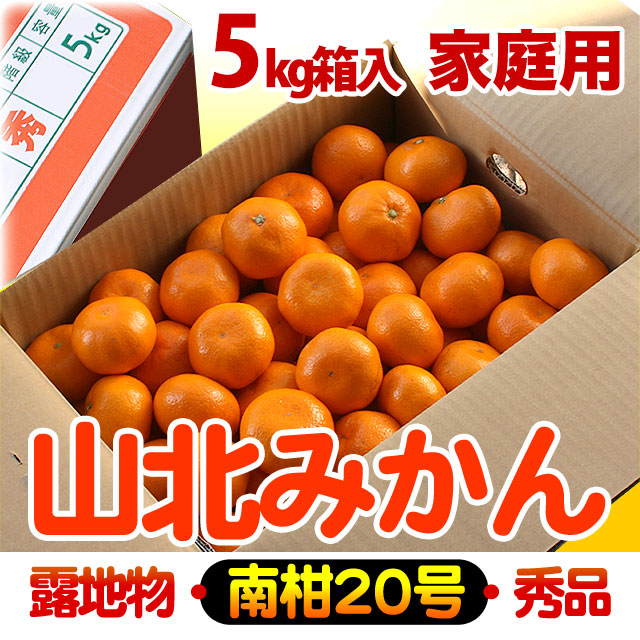 山北みかん・露地もの・南柑20号・赤秀品（ご家庭用）・5kg箱入り【送料無料】