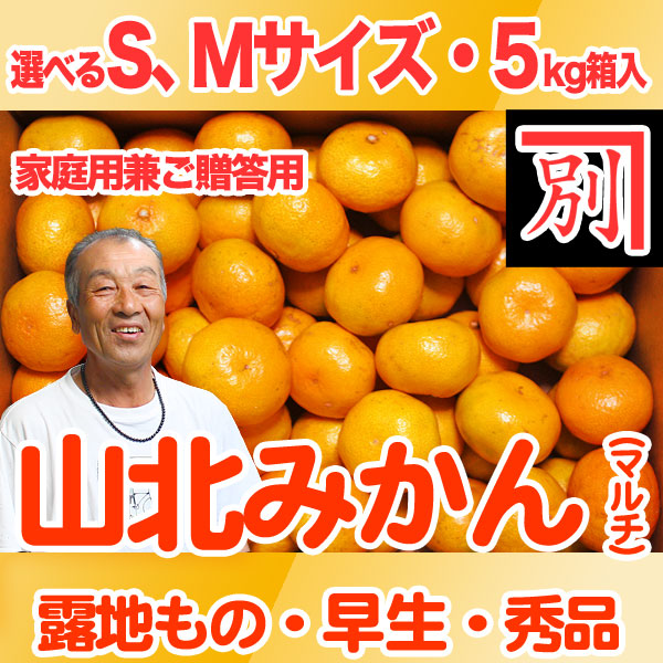 【送料無料】別役さんちの山北マルチ栽培みかん・露地もの・早生・秀品（家庭用兼ご贈答用）・5kg・選べるS、Mサイズ【産地直送】