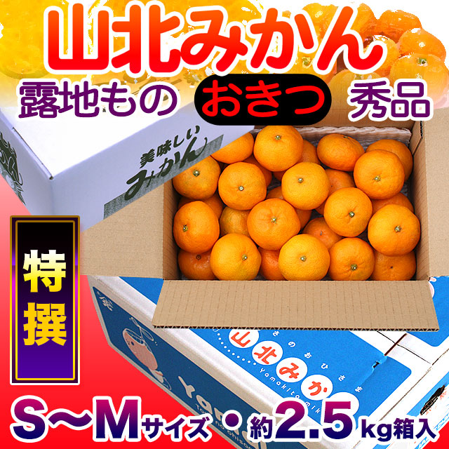 生産者厳選・山北みかん・露地もの・興津（おきつ）・特選（ご贈答用）・小分け品・約2.5kg箱・S～Mサイズ【送料無料（関東～九州）】