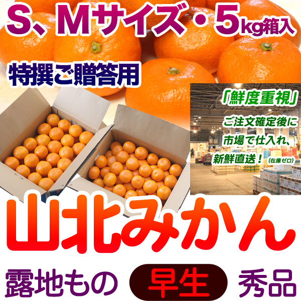 【送料無料】生産者厳選・山北みかん・露地もの・早生・秀品（特撰ご贈答用）・5kg箱・S～Mサイズ