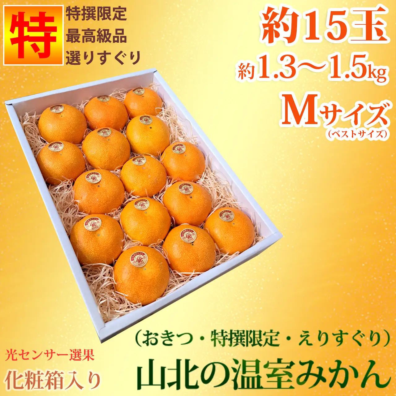 山北温室みかん（おきつ系・特撰限定えりすぐり・ご贈答ハウスみかん）約1.3～1.5kg（約15玉）・ハイクラス・Mサイズ