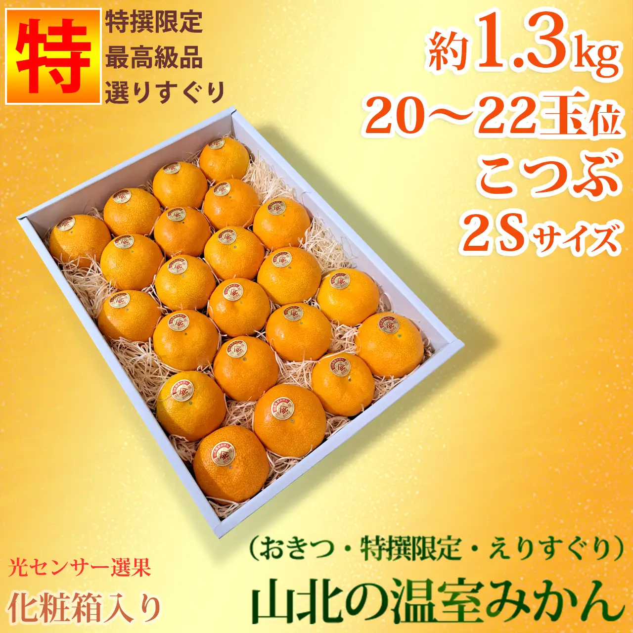 山北の温室みかん（おきつ系・特撰限定えりすぐり・贈答ハウスみかん）約1.3kg入・ハイクラス・小粒2Sサイズ