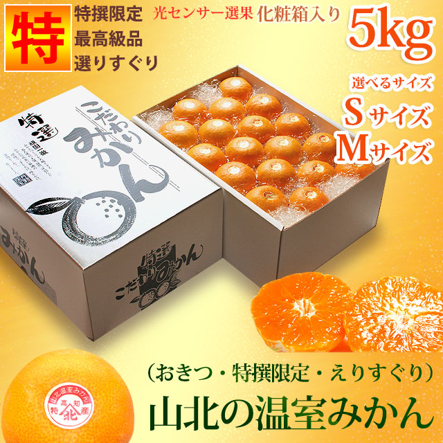 山北温室みかん（ハウス蜜柑・おきつ系・特撰限定・えりすぐり）最高級ギフト用・約5kg・化粧箱入・S～Mサイズ【送料無料】