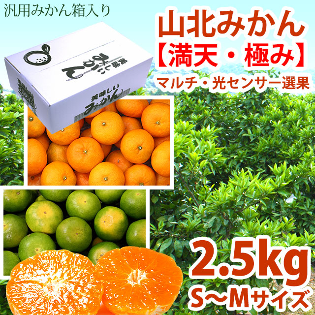 山北みかん「満天・極み」（極早生～早生）マルチ・赤秀品以上（特選ご贈答）・約2.5kg箱