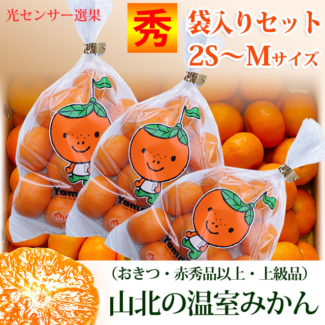 【クール冷蔵】山北の温室みかん（ハウス栽培）・おきつ系・赤秀品えりすぐり（ご贈答用品質）・袋入りセット（2S～Mサイズ）【送料無料（関東～九州）】