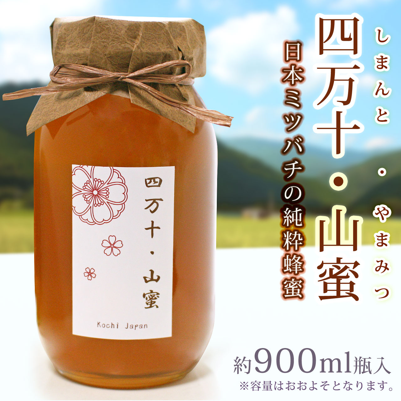 日本ミツバチの蜂蜜・「四万十・山蜜（しまんと・やまみつ）」・約900ml瓶入・【100％天然はちみつ（非加熱）・高知県産】