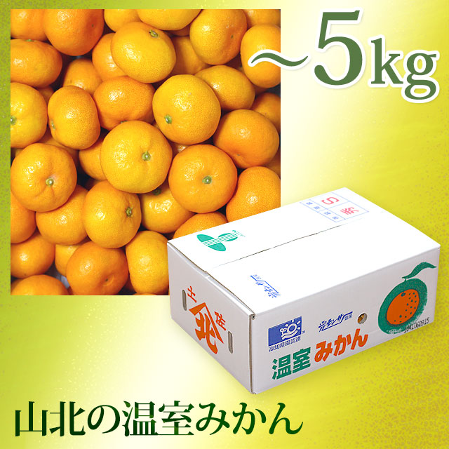 山北の温室みかん（極早生～早生・赤秀品以上・えりすぐり）・～5kg（大箱）・みかん箱入り・Ｓサイズ【送料無料（関東～九州）】