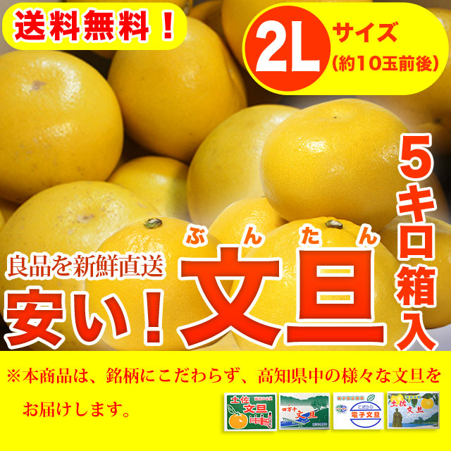 安い！文旦（ぶんたん）・高知県産（土佐市・宿毛市他）お徳用・中箱（～5kg）・2Lサイズ【送料無料】