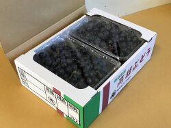 スチューベン　規格外B品　バラ房（５００ｇ×４パック）（２ｋｇ箱詰）