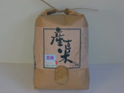 農家直送こだわりのあきたこまち　玄米５ｋｇ　（令和６年産）
