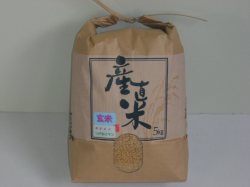 農家直送こだわりの「はれわたり」　玄米５ｋｇ　（令和７年産・新米）