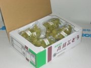 欧州系大粒ぶどうの高級種　イタリア　（２ｋｇ箱詰）