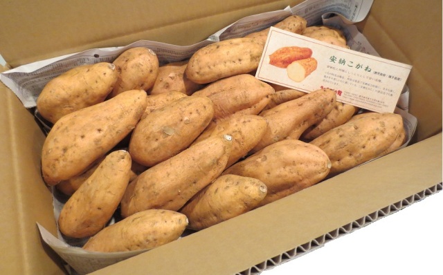【鹿児島直送】鹿児島県種子島産　安納こがね 5kg【送料込み】