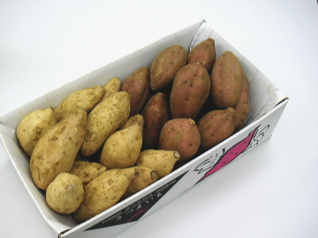 種子島ゴールド＆安納紅