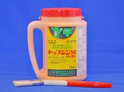 トップジンMペースト