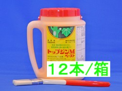 トップジンMペースト