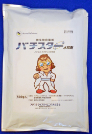 バチスター