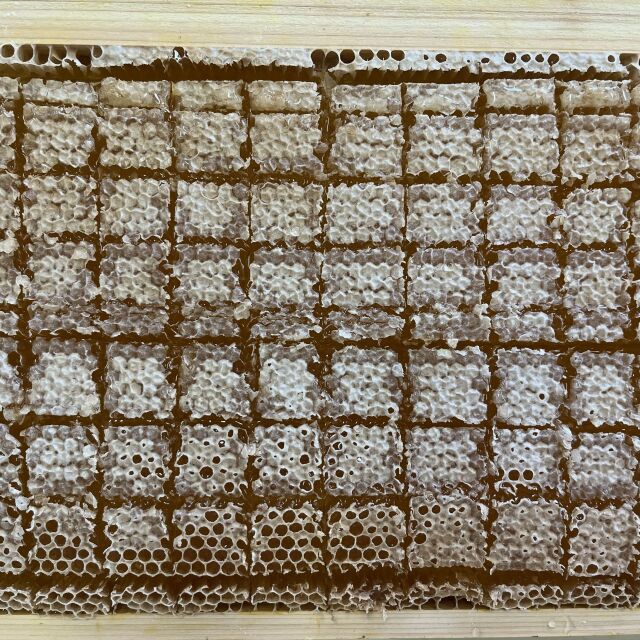 カットした巣みつ