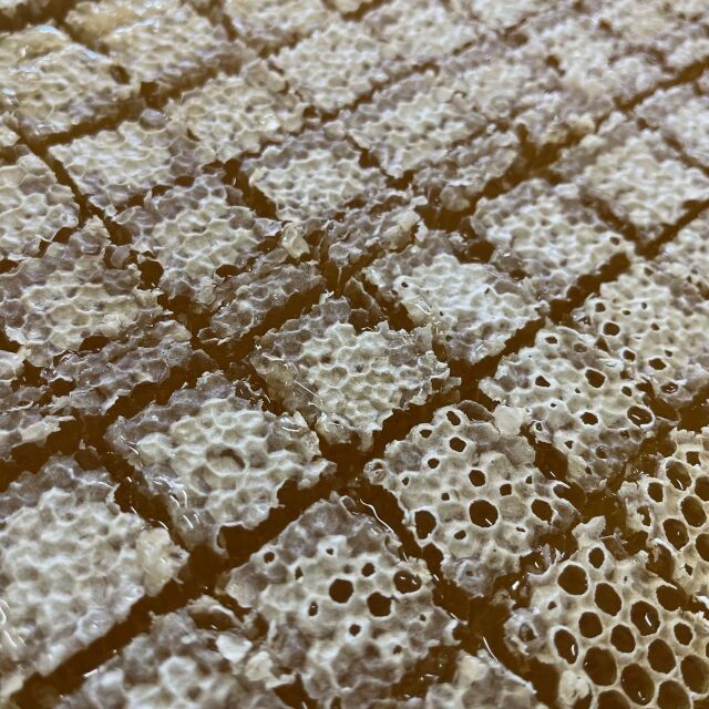 カット巣みつアップ