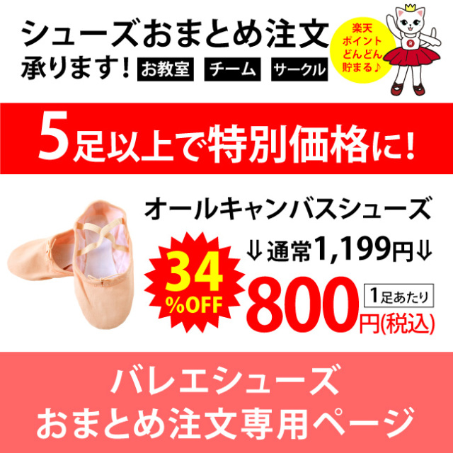 5足以上のおまとめ注文専用 送料一律960円 クーポン不可 バレエシューズ ソフトレザー 16 27cm エレクトーンシューズ フラダンスシューズ