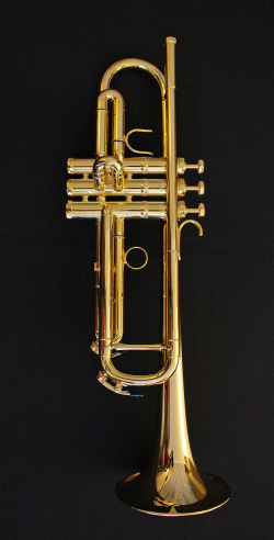 Meister JamesMorrison