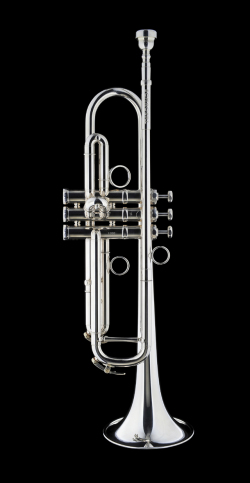 Signature James Morisson 1S