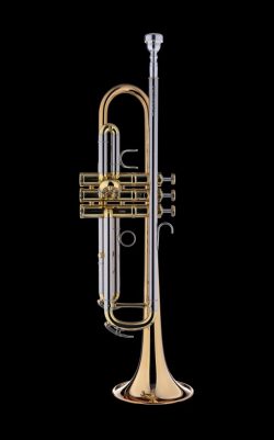 Signatureシリーズ　Mnozilbrass L 2020