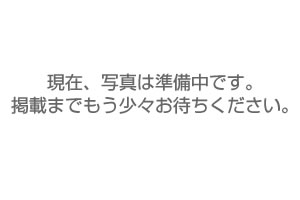 天体望遠鏡 修理代金