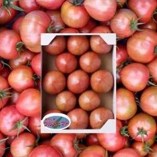 亀甲袋　150匁　3000枚　オシャレ　包装　トマト　野菜　果物 亀甲袋 150匁 3000枚 オシャレ 包装 トマト 野菜 果物