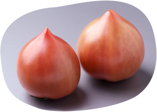 トマト切り抜き