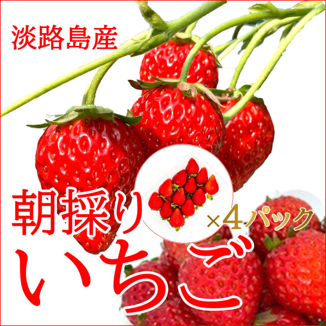 いちごメイン画像