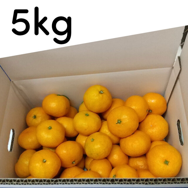 里農園のみかん5?中身