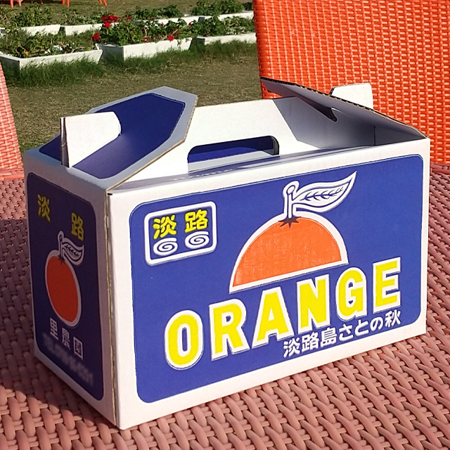 里農園のみかん2?箱