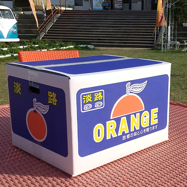 里農園のみかん10kg箱