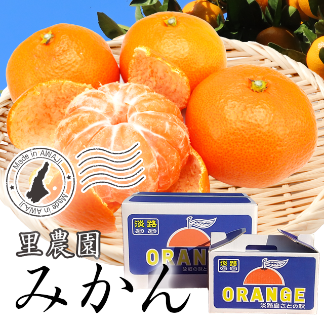 到着日指定不可】里農園のみかん（ラッピング不可）【冬ギフト