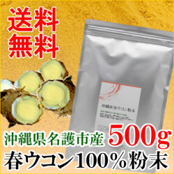 春ウコン粉末500g 沖縄県名護市産