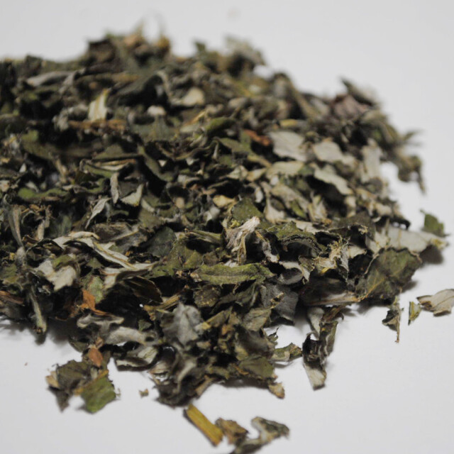 よもぎ茶 500g 5mm刻み 徳島産 春新芽 ヨモギ茶 国産 無農薬