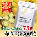 春ウコン粒 300粒 75g 沖縄県名護市産