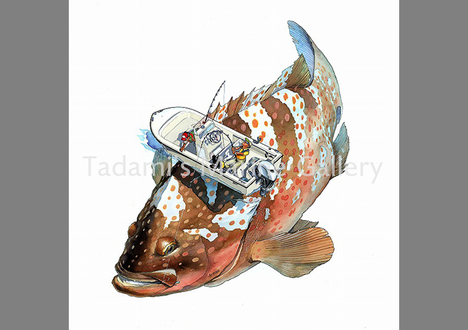 VS.Red Spoted Grouper