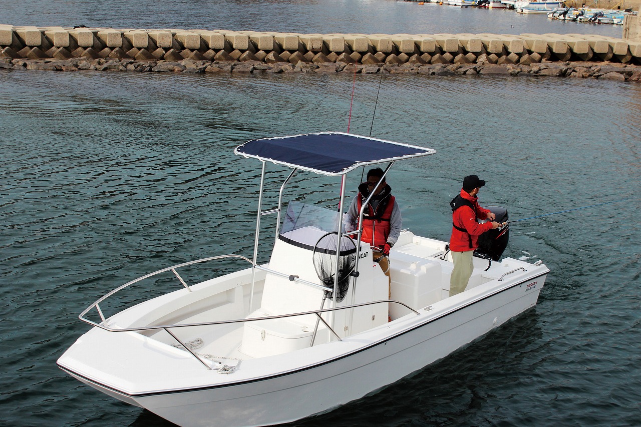 BMOジャパン／T-トップライト　L1700xW1200xH2010 ／ 850mm以内　　※73463