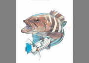 VS.Grouper