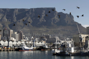 矢部洋一Cape Town, South Africa