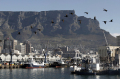 矢部洋一Cape Town, South Africa