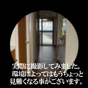 リバースドアスコープ